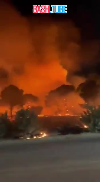  Лесной пожар вспыхнул в окрестностях Антальи, - портал Antalya Hakkında