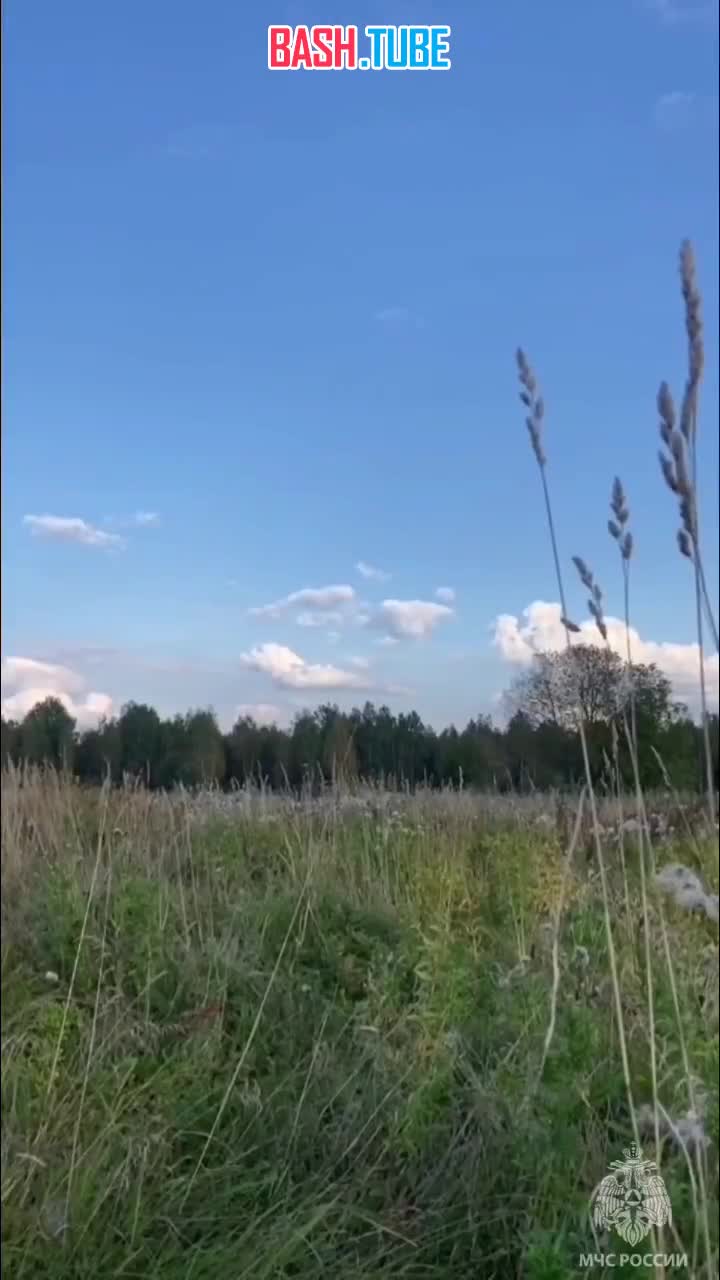  Пиротехники МЧС России уничтожили 56 авиабомб и мин в Ленинградской области, сообщили в ведомстве