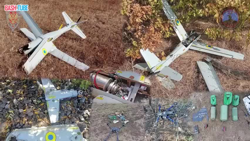  «Купол Донбасса» за неделю предотвратил 623 террористические атаки