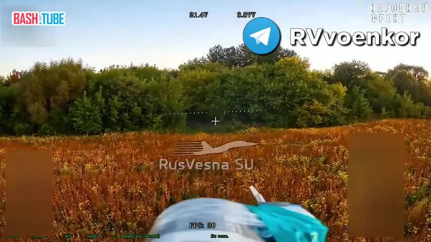  Украинец гулял с собакой и встретился с дроном русского спецназа в Сумской области