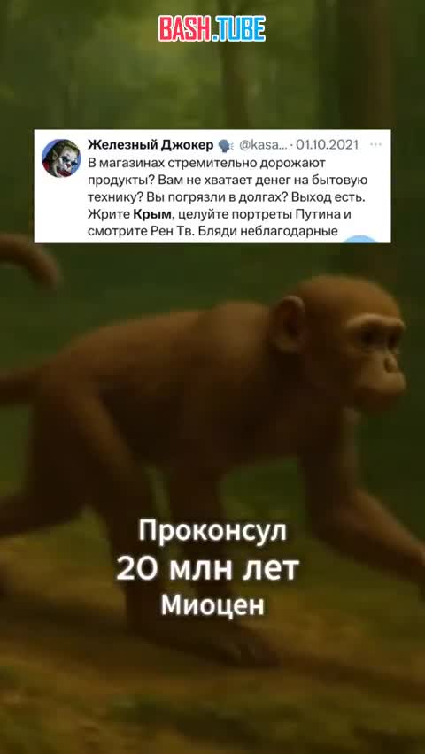  Трансформация из либерахи в человека