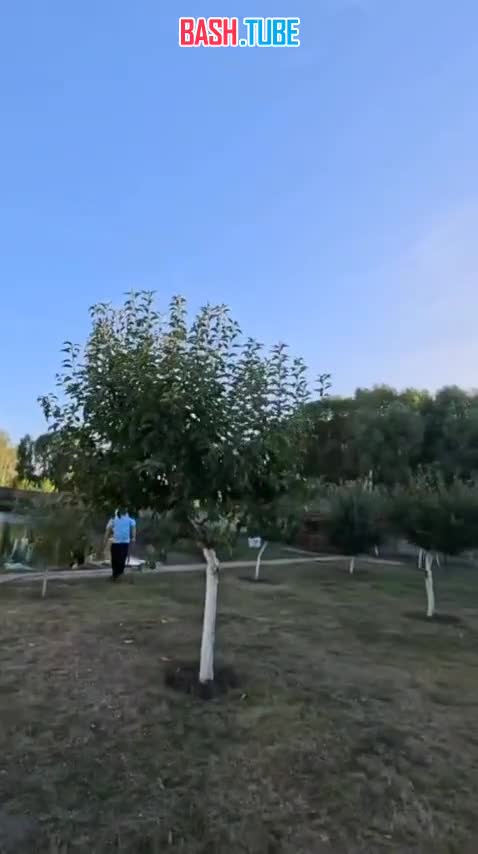  Прилет реактивных «Гераней-3» по украинской нефтебазе в процессе ее тушения