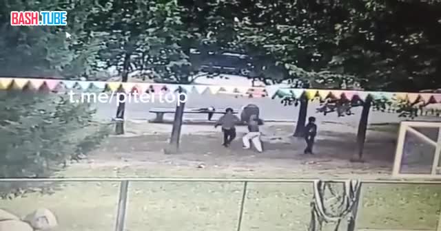  В Выборгском районе на прогулке поссорились мальчики 6 и 7 лет