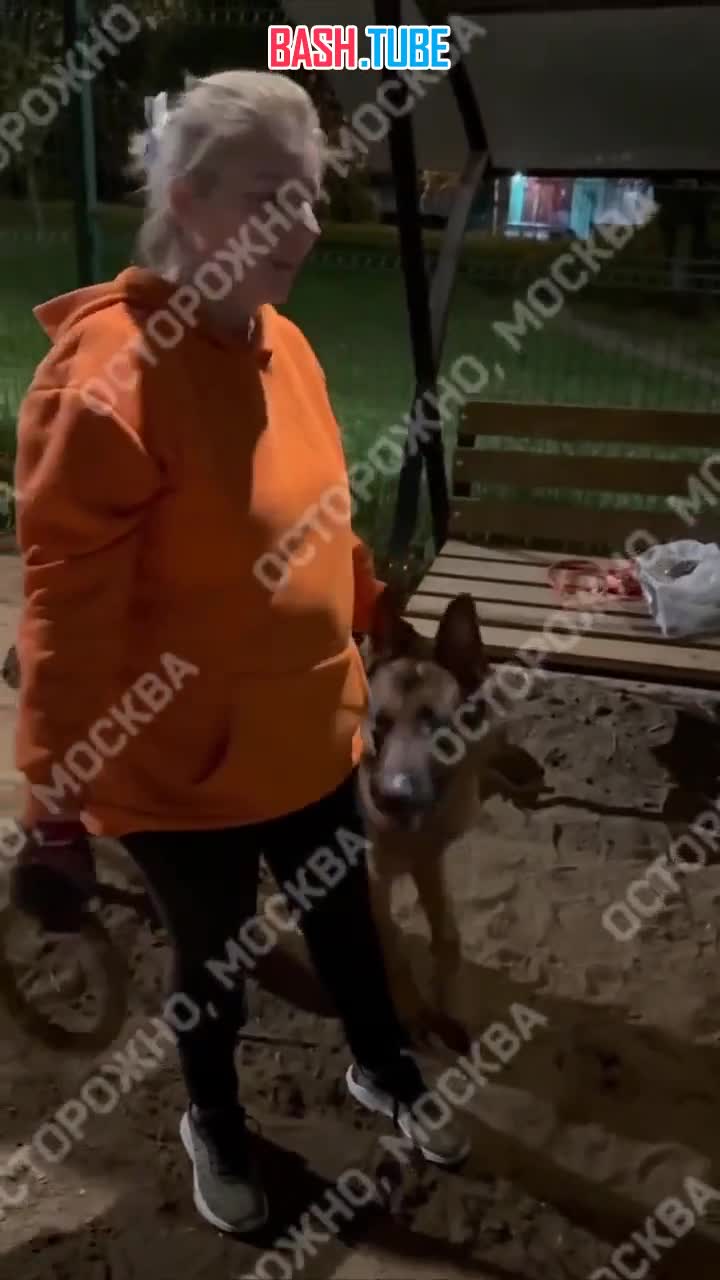  На северо-востоке Москвы собачница натравила пса на посетителей и собак на площадке