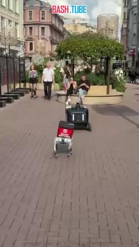  Будущее наступило: свидание роботов запечатлели в Москве