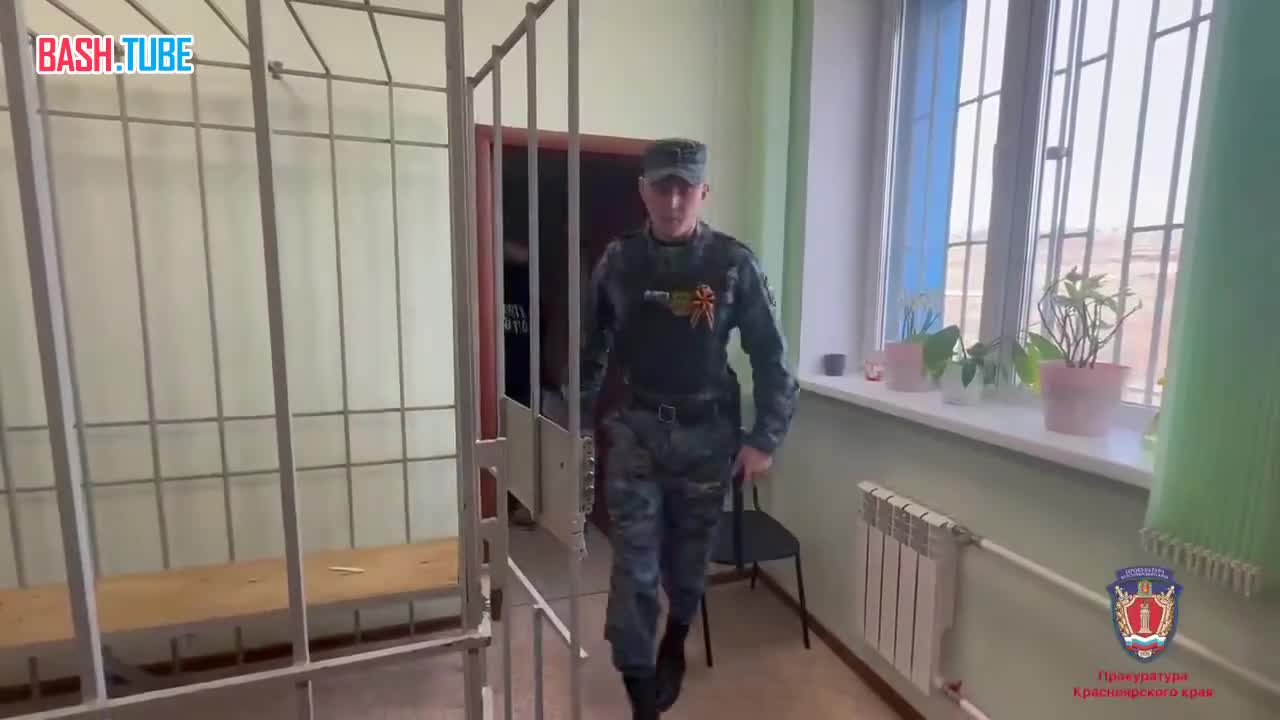  Мать, убившую троих детей на глазах четвертого в Красноярском крае, хотят отправить на принудительное лечение