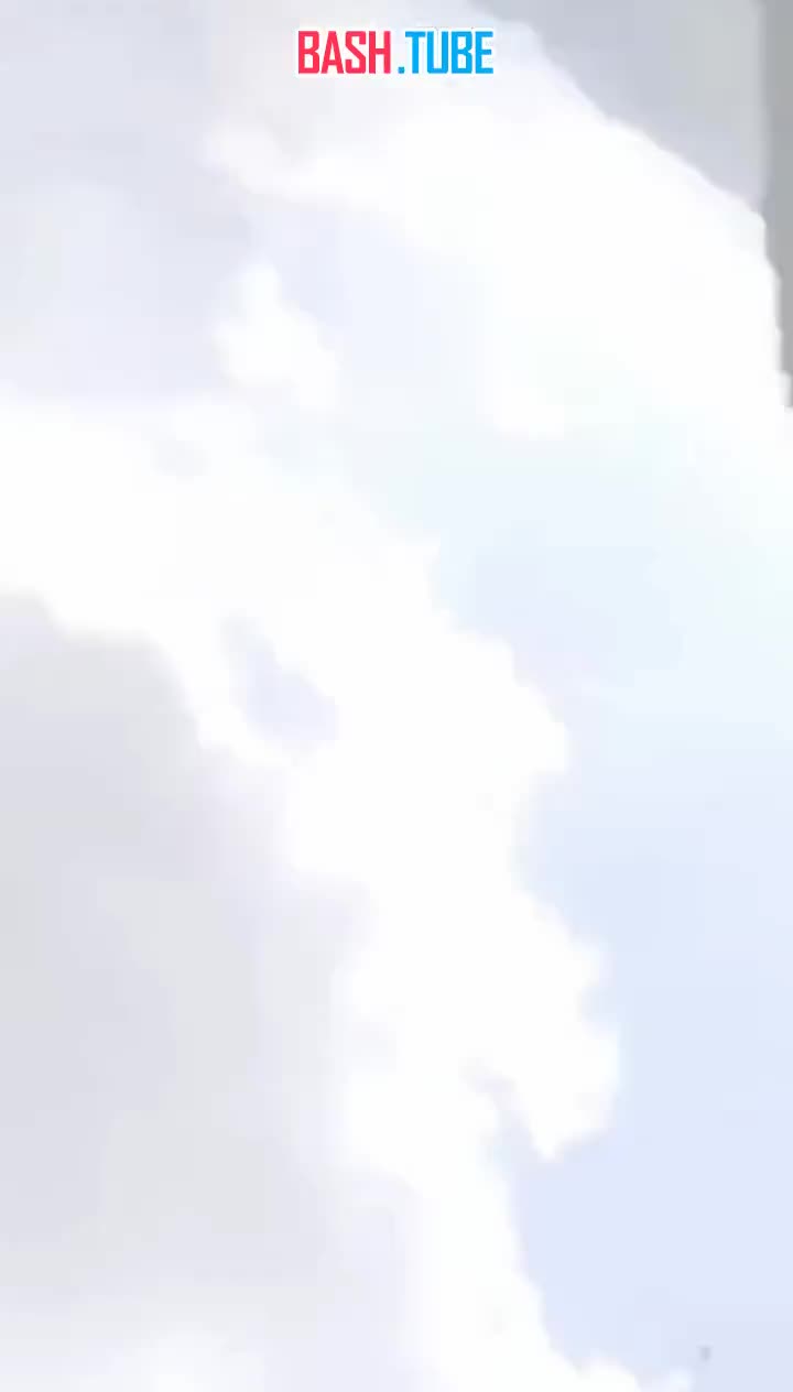  Турист заснял последние секунды жизни после нападения медведя в Греции