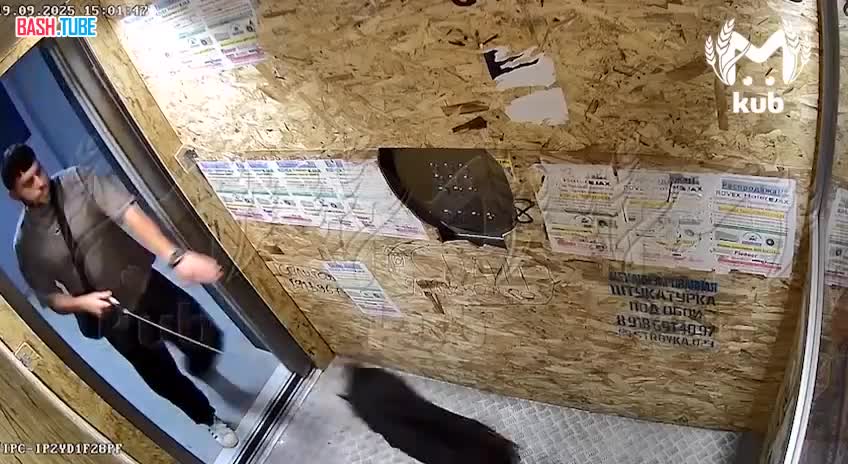  В Краснодаре хозяин избил щенка в лифте. Соседи говорят уже не в первый раз