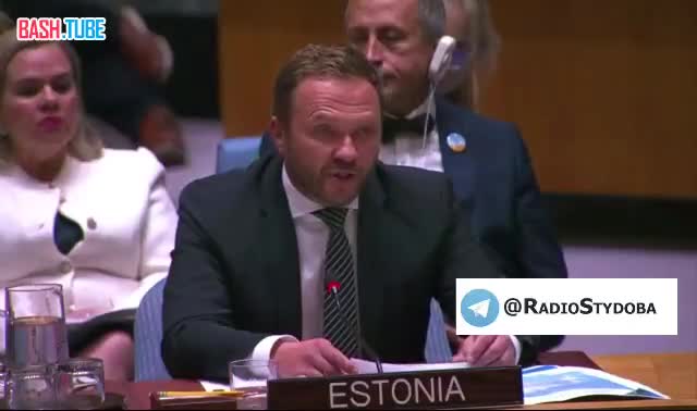  Эстония принесла в Совбез ООН картинку с красной линией, прочерченной вдоль карты Эстонии