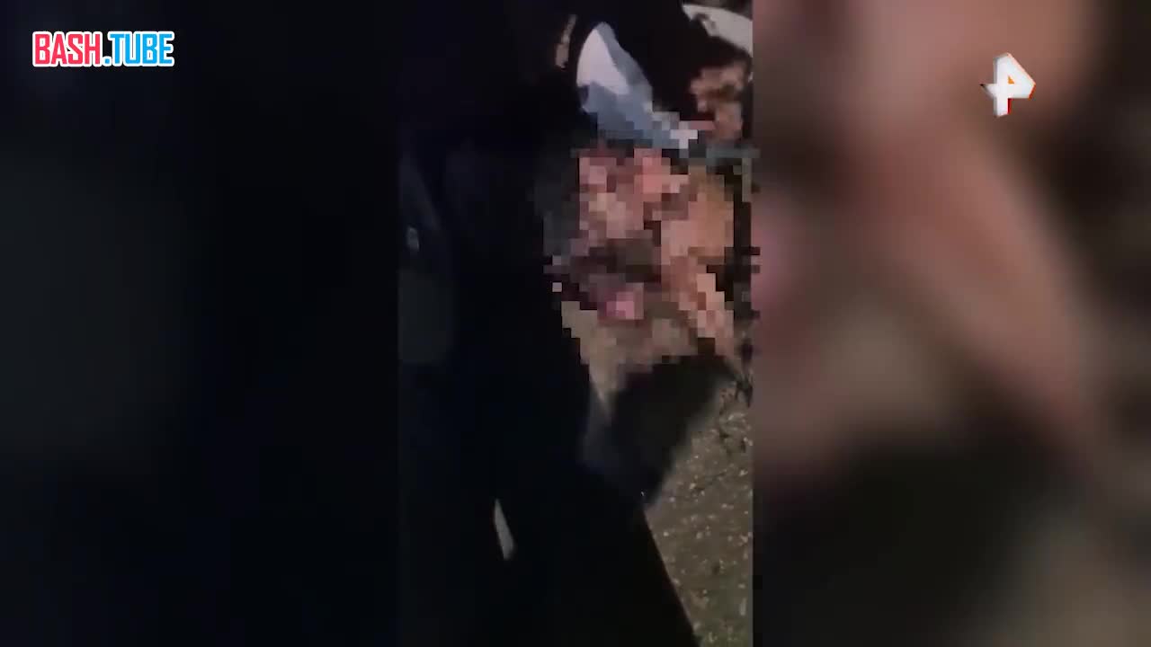  В Самарской области задержали отца и сына, совершавших диверсии с 2023 года, сообщили в ФСБ