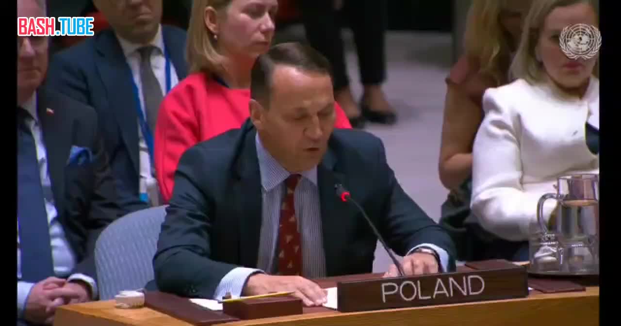 Глава МИД Польши Сикорский на Совбезе ООН пригрозил России