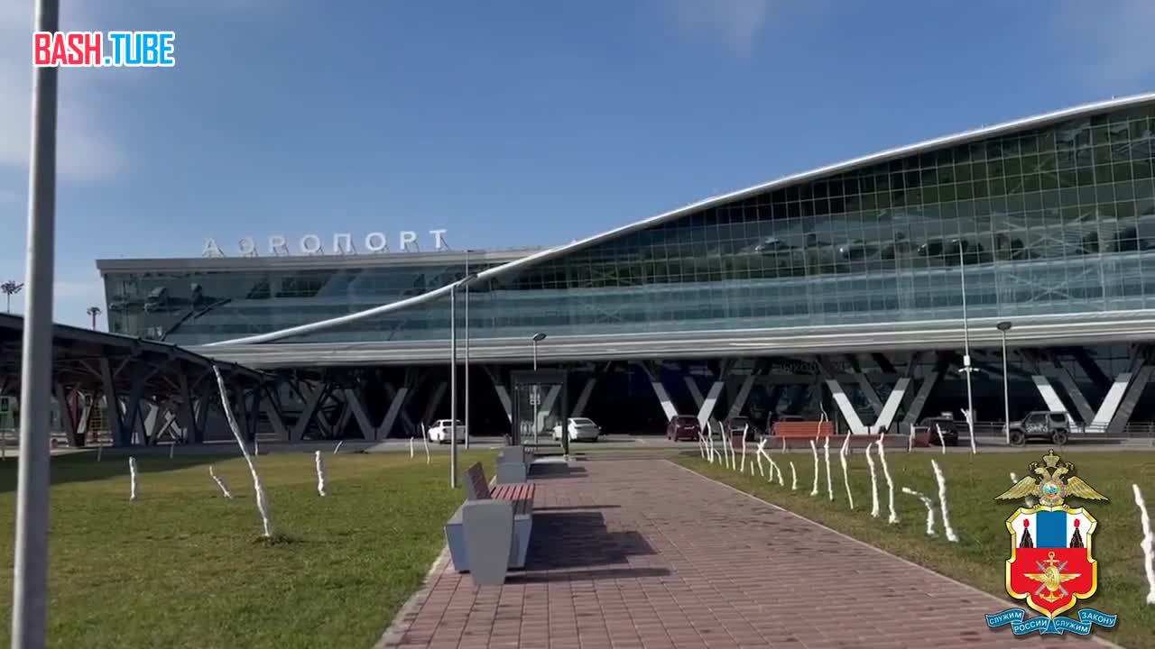  Пьяная авиадебоширка оскорбляла пассажиров и ударила сотрудницу полиции