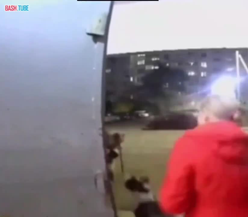  Агрессивная собака напала на 14-летнюю девочку в Омске и растерзала ей руку