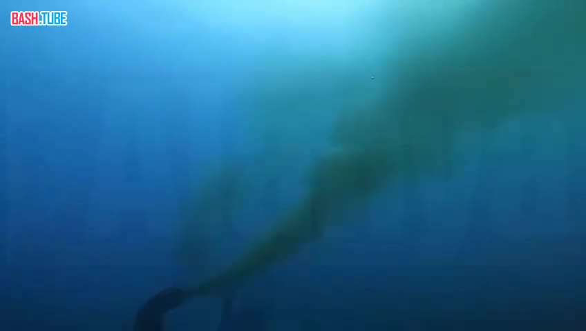  Сточные воды заполнили море курортной Аланьи - дайверы зафиксировали трубы со стоками у берегов Конаклы