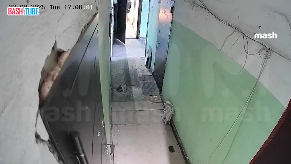  Жительница Подмосковья сгорела заживо в собственной квартире - её дверь подожгла соседка, обвинив в краже собаки