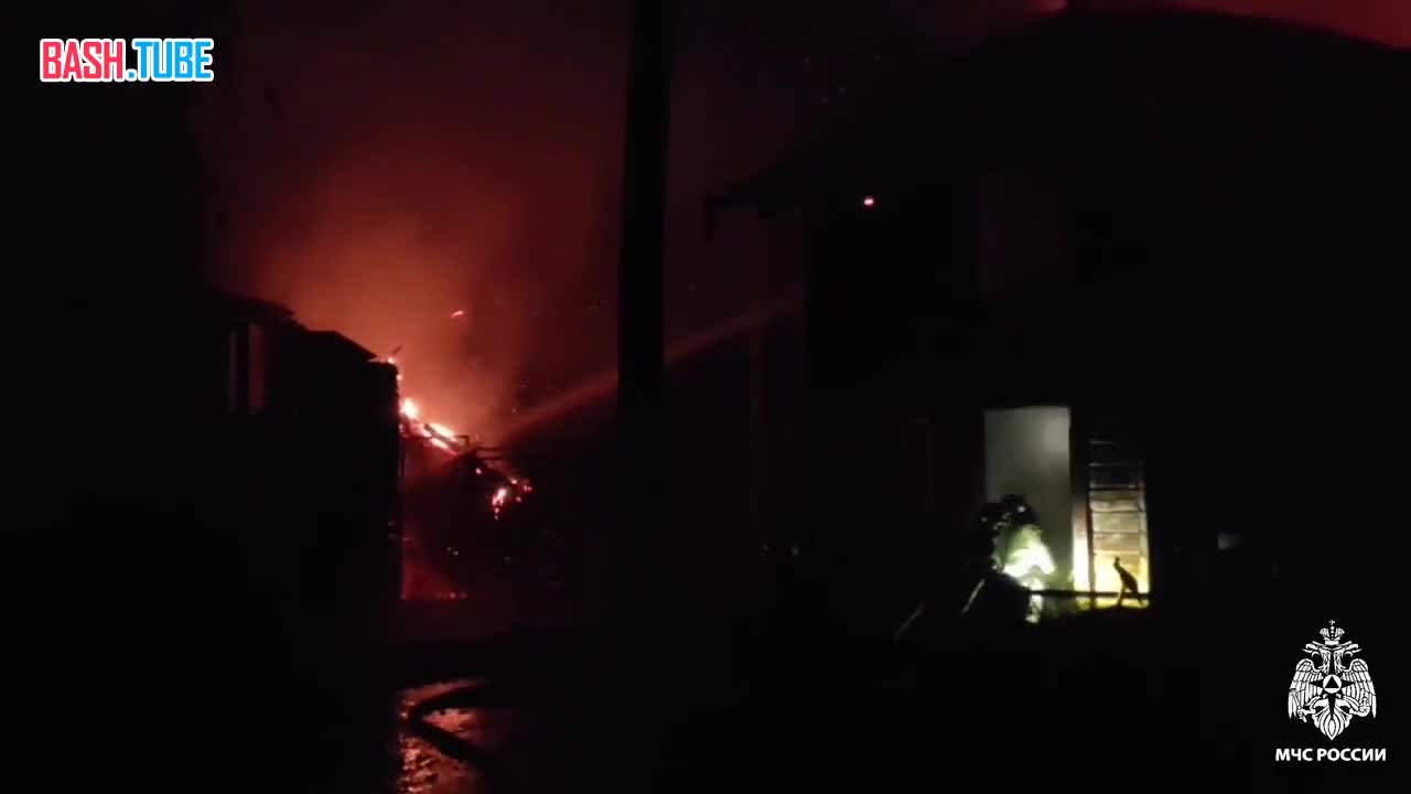  11 животных погибли при пожаре в зоопарке Новосибирска - МЧС РФ