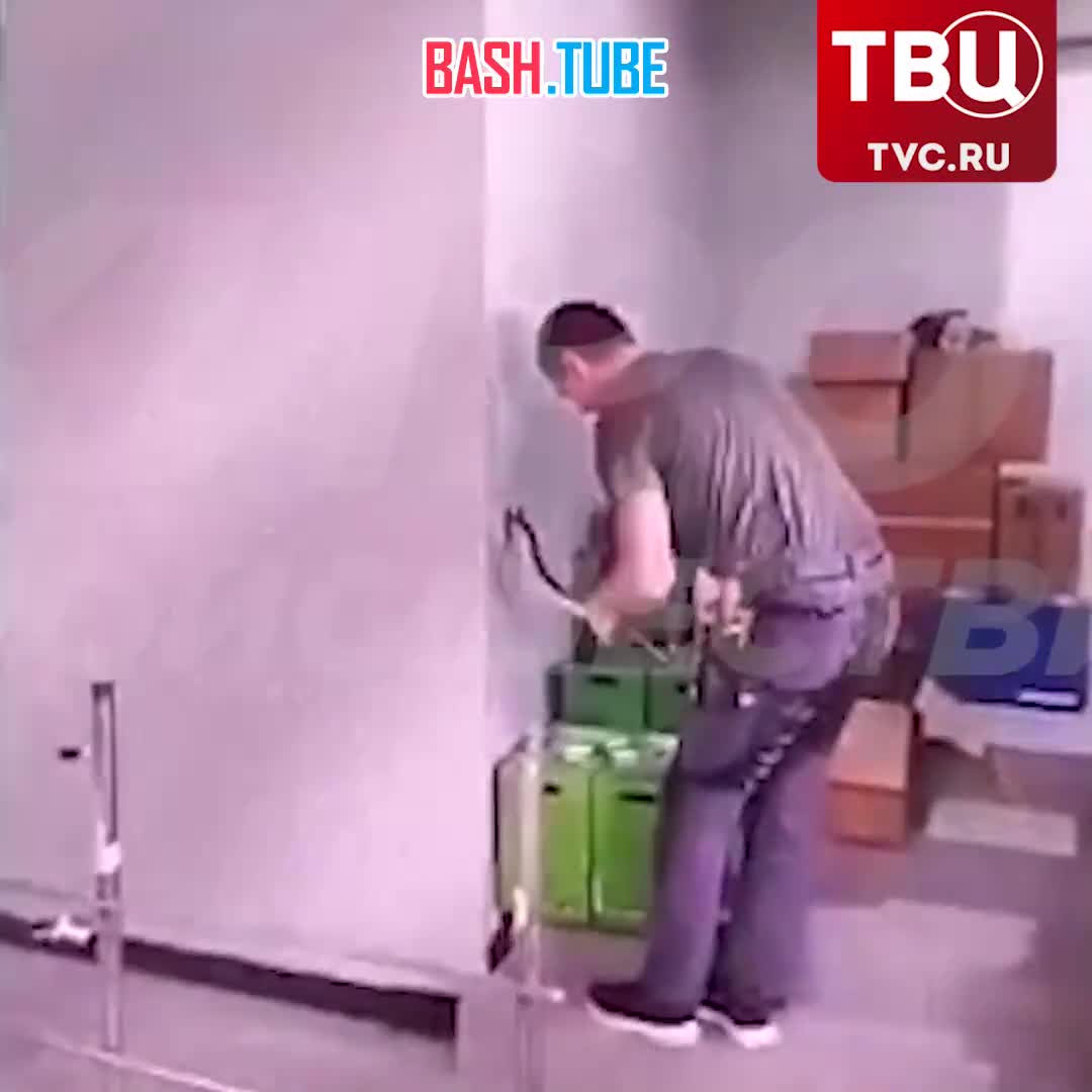  Огромную змею достал электрик из стены банка в Кирове