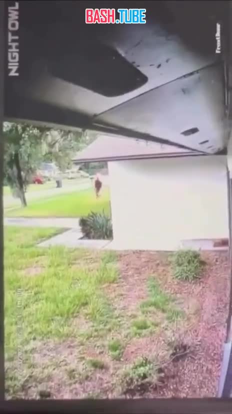  Чернокожего вора сожгли заживо в Калифорнии