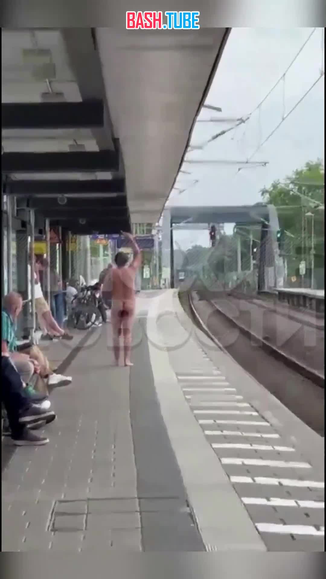  В Германии голый псих разделся на станции и, крича «Аллаху Акбар!», бросился под поезд