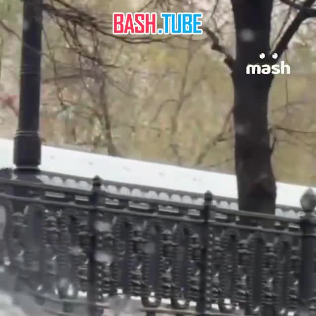  Езду по трамвайным путям планируют приравнять к мелкому хулиганству - а это лишение прав и арест до 15 суток