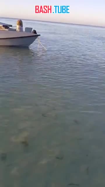  Один из уцелевших украинских БЭК-носителей, участвовавших в атаке на Туапсе 24 сентября