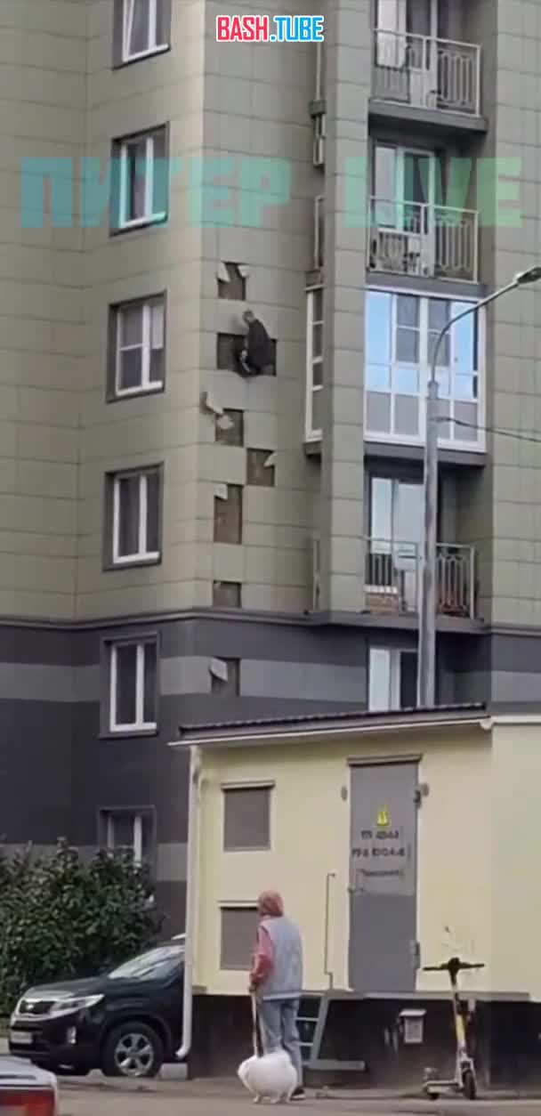  Человек-паук из Питера по стене забрался на седьмой этаж, чтобы извиниться перед своей «зайкой»