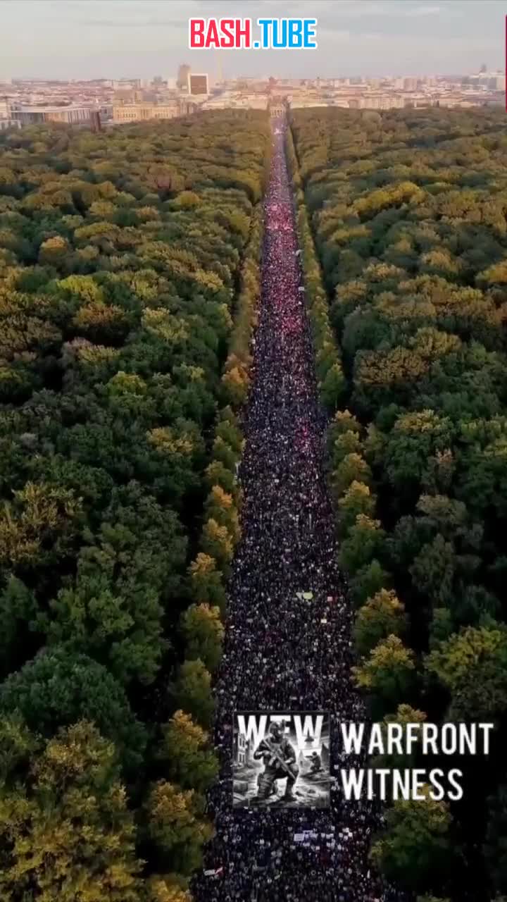  Более 100 тысяч человек приняли участие в про-палестинской акции протеста в столице Германии Берлине