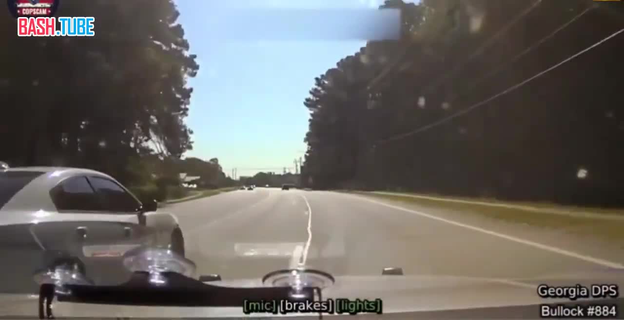  В США преступник во время задержания застрелил полицейскую собаку