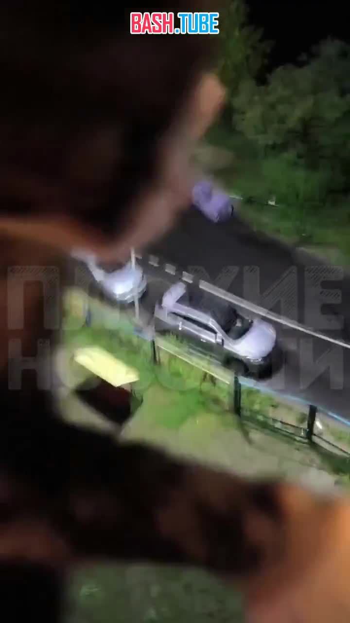  В Мурманской области псих выбросил из окна всех животных бывшей девушки