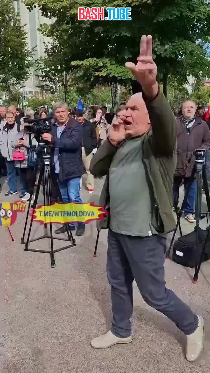  Молдаванка огрела сумкой провокатора за нацистские лозунги на митинге оппозиции в Кишиневе