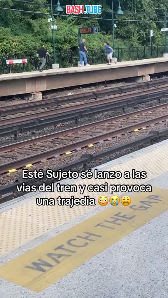  В США полицейский и преследуемый им нарушитель едва не отправились к праотцам