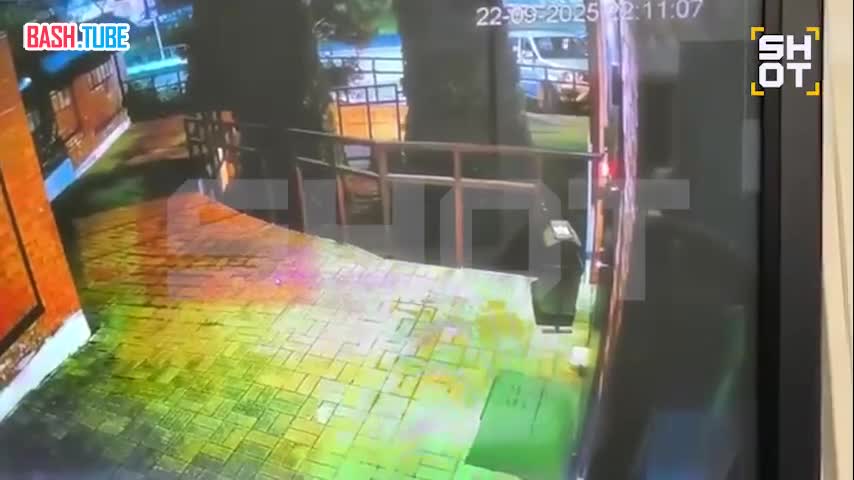  Медведь пришёл в отдел полиции на Красной поляне. Зверь на секунду залип на вход в участок, но всё же решил скрыться