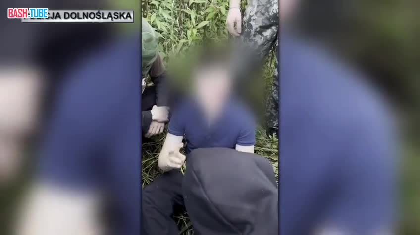  В Польше подростки избили украинца-педофила, а затем побрили налысо и нарисовали нацистскую символику на лице