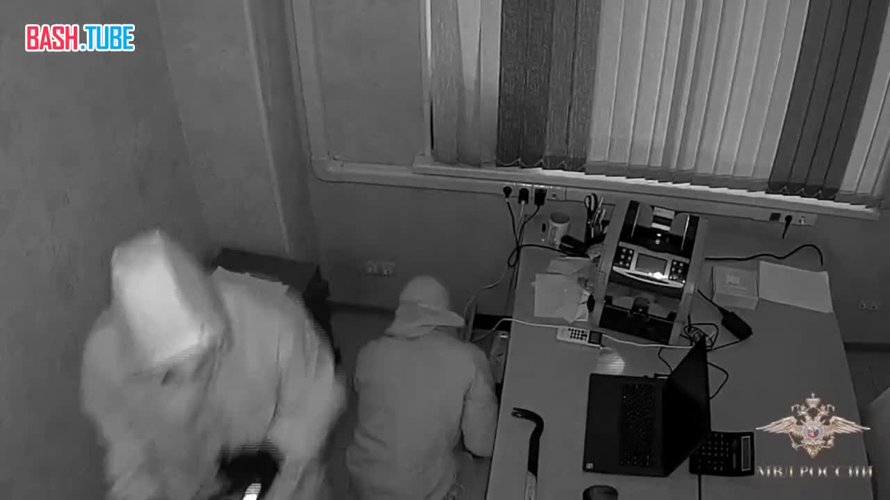  Трое петербуржцев вынесли сейф с более чем 10 млн руб в подмосковных Мытищах - МВД