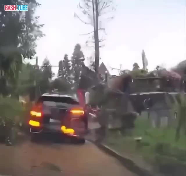  51 человек погиб, более 160 пострадали из-за обрушившегося тайфуна «Буалой» во Вьетнаме