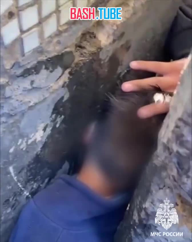  В Кызыле четырехлетний мальчик застрял головой между домами, когда пытался пролезть в узкую щель