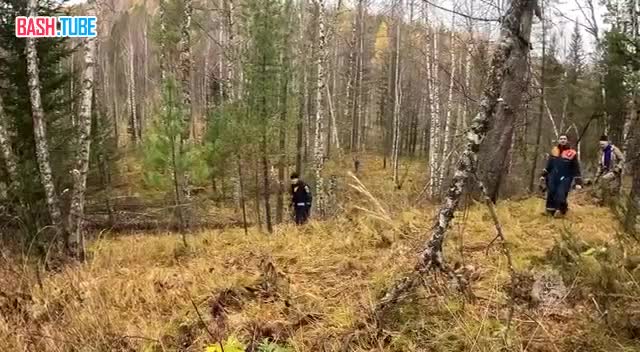  Пропавшую в Красноярском крае семью продолжают искать спасатели