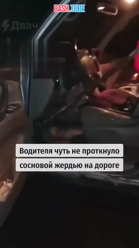  В Коми деревянная жердь на ходу проткнула внедорожник: кол остановился в считанных сантиметрах от груди 48‑летнего водителя