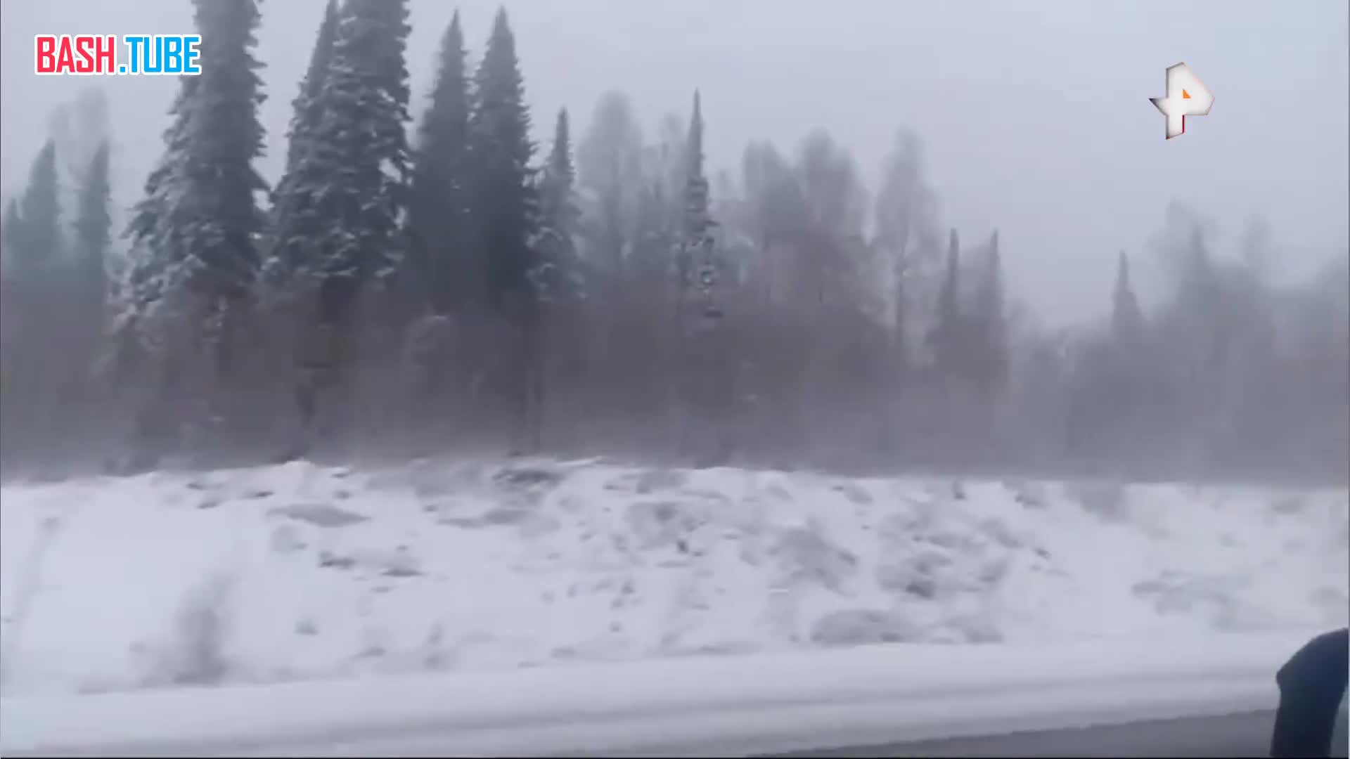  Октябрьский снег пришел в Кемеровскую область - жители Кузбасса делятся в соцсетях природным явлением