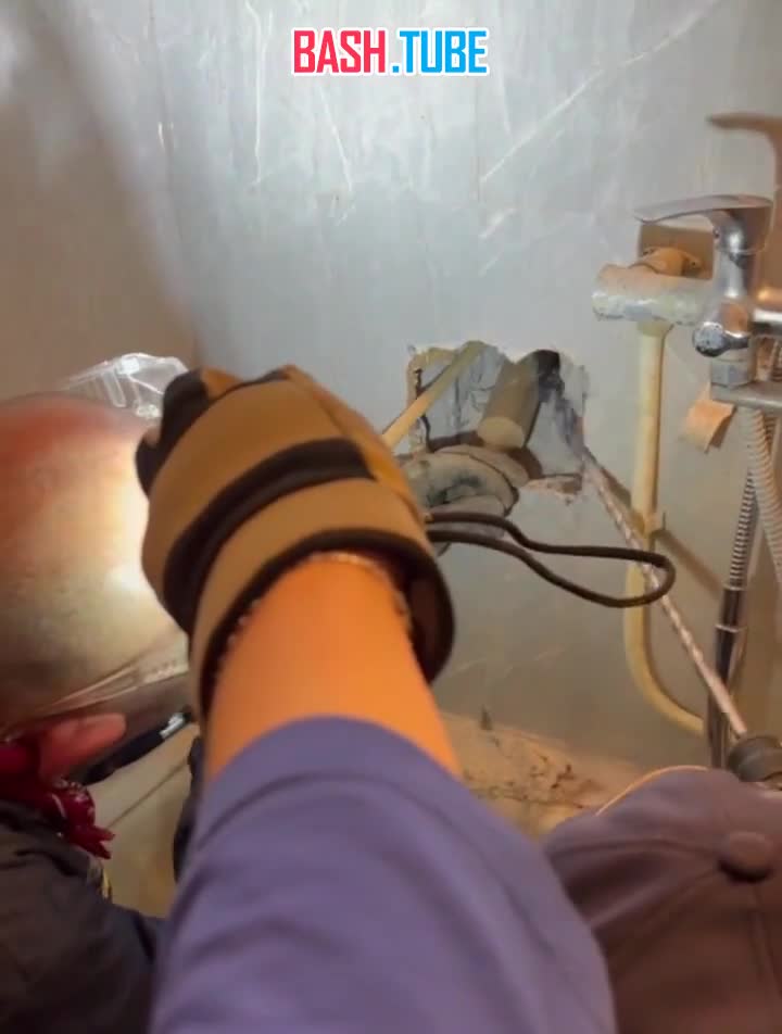  В Москве развернули целую спасательную операцию по вызволению попавшей в беду кошки