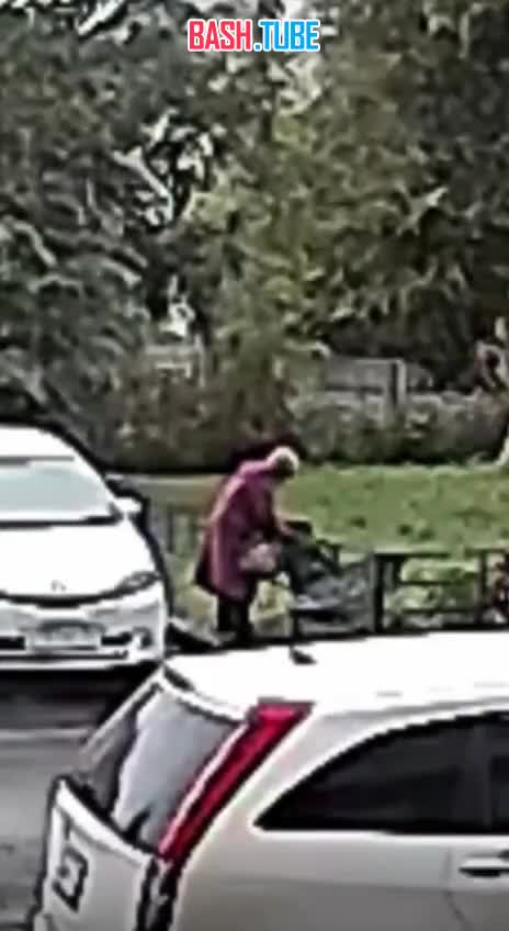  В Новосибирске женщина бросила овчарку, которая всю ночь под дождем ждала хозяйку