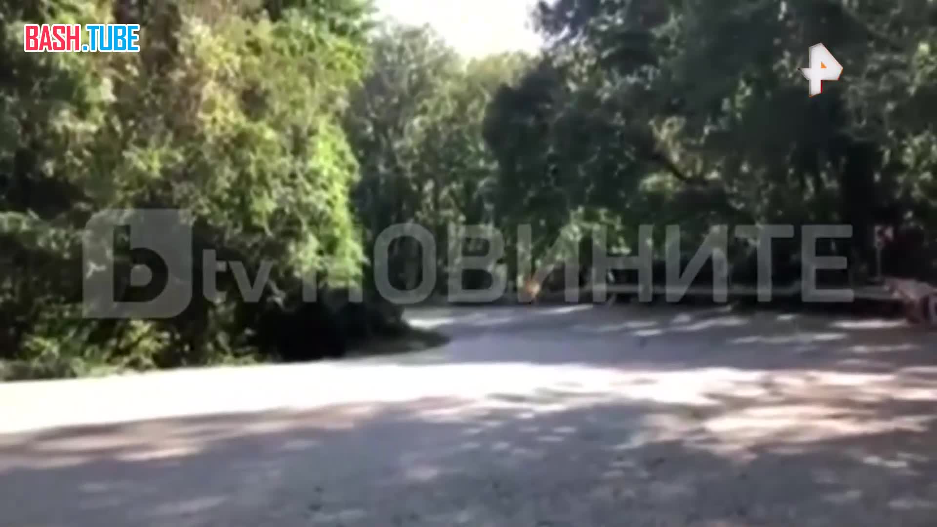  Машина влетела в толпу зрителей на ралли в Болгарии