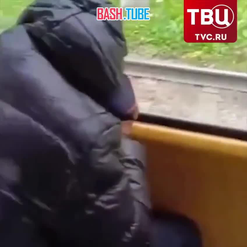  Школьник выстрелил водителю трамвая в ногу в Екатеринбурге