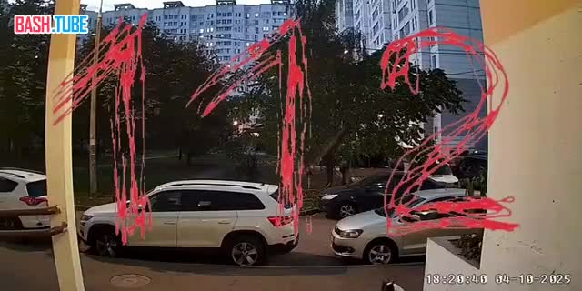  Неадекватный мужчина избил собаку у подъезда в Московской области