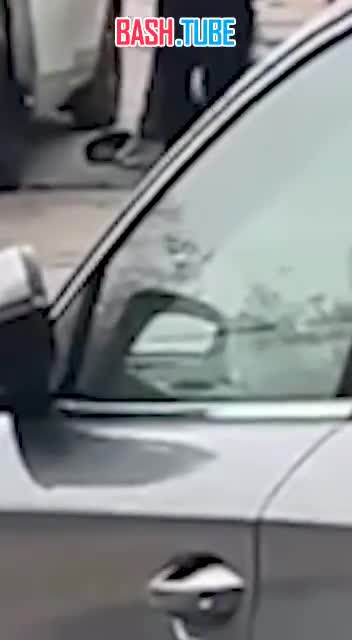  Новая пушистая жертва: собаку вместе с хозяином мобилизовали сотрудники ТЦК в Киеве