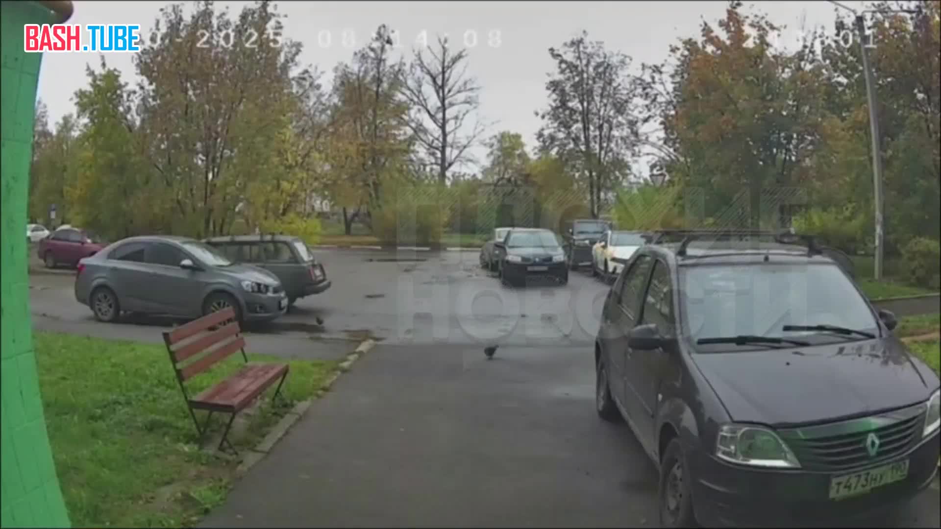  Жуть из Подмосковья: женщина забыла поставить автомобиль на ручник, машина сама поехала и впечатала пенсионерку в столб