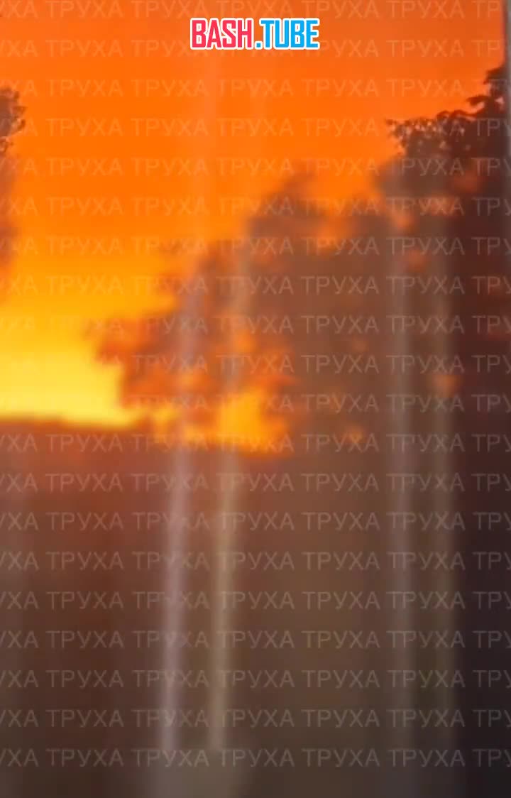  Кадры сильных пожаров в Прилуках Черниговской области