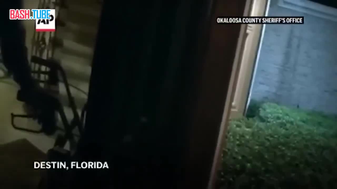  Собака по кличке Иа-Иа помогла спасти жизнь своей 86-летней хозяйке в США