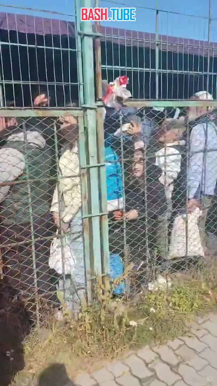  Пограничный переход Медыка-Шегени. Ежедневно из Украины сбегают от 7000 до 11000 человек