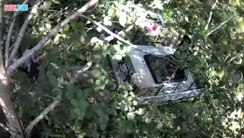  Пенсионерка плевала на могилу бывшей неприятельницы и избивала ее памятник